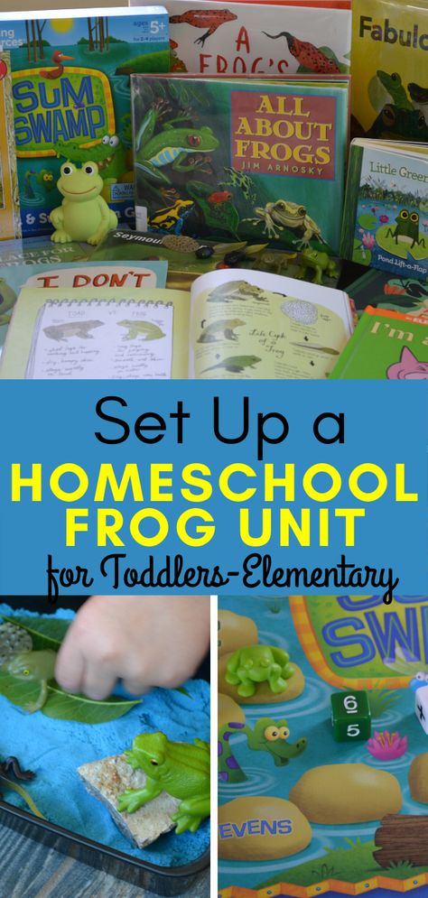 Frog Unit Kindergarten, Frog Unit Study, Homeschool Elementary Science, Frogs Preschool, Frogs For Kids, Outside Activities For Kids, Science Unit Studies, Frog Activities, Toddler Sensory Bins