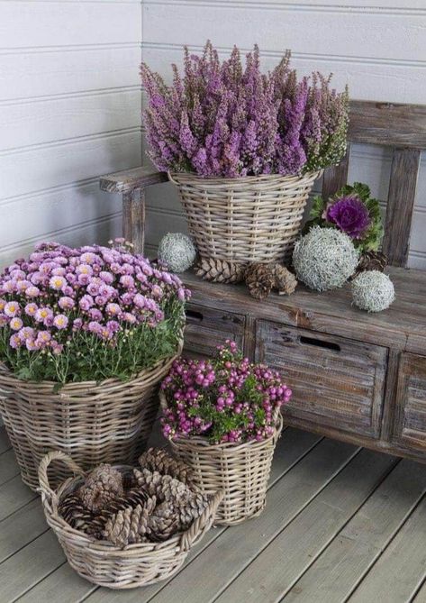 Potted Mums, Front Porch Decorating, Deck Decorating, Garden Cottage, Terra Cotta, Backyard Garden, Cottage Garden, Garden Projects, Garden Inspiration