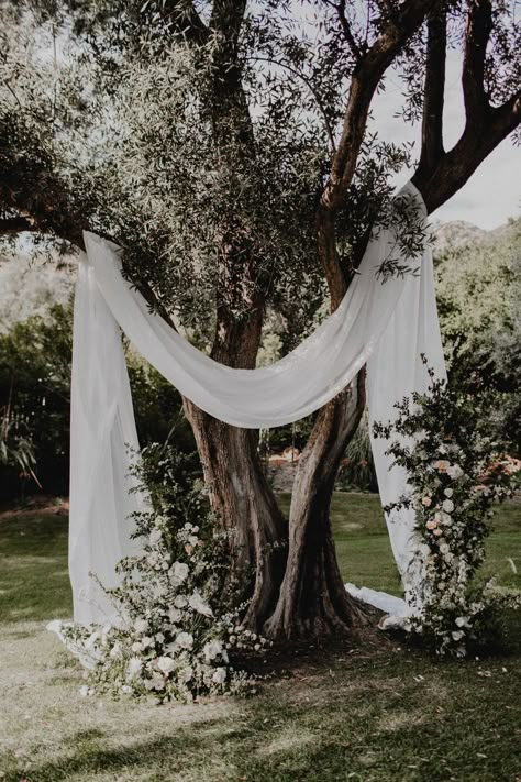 Hummingbird Nest Ranch Wedding, Hummingbird Nest Ranch, Morgan Elizabeth, Hummingbird Nest, Wedding Goals, Wedding Mood, Forest Wedding, Ranch Wedding, Wedding Floral