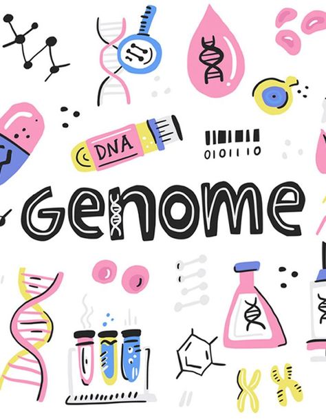 read an article on Human genome project Human Genome Project, Francis Collins, Biology Humor, Dna Sequence, Human Genome, An Article, Aesthetic Iphone Wallpaper, Biology, Iphone Wallpaper