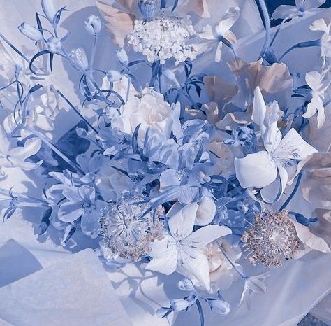 Aesthetic Light Blue, Fantasy Angel, Cute Blue Wallpaper, Baby Blue Aesthetic, Light Blue Aesthetic, Ethereal Aesthetic, Aesthetic Light, Blue Aesthetic Pastel, Light Blue Flowers