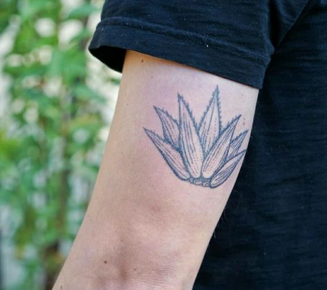 Agave Tattoo, Tequila Tattoo, Western Sleeve, 2024 Tattoo, Small Tats, Bird Tattoo, Birds Tattoo, I Tattoo, Tequila