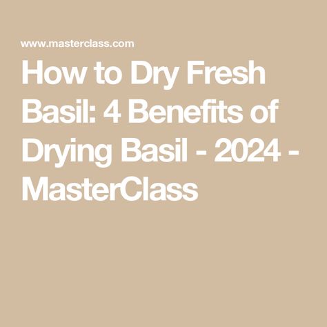 How to Dry Fresh Basil: 4 Benefits of Drying Basil - 2024 - MasterClass Storing Basil, Dried Basil Leaves, Dominique Ansel, Basil Plant, Sweet Basil, Culinary Herbs, Chicken Marinades, Dehydrator Recipes, Best Chef