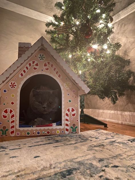 Cat Gingerbread, Ginger House, Cardboard Cat House, Cardboard Cat, Diy Cat Tree, Pet Projects, Cozy Christmas Decor, House Cat, Animal Projects