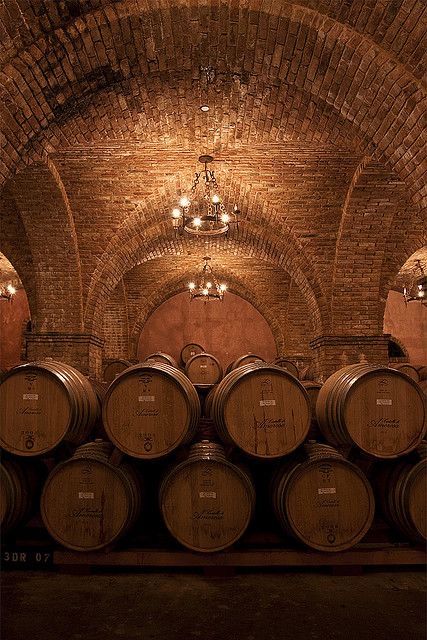 Napa Valley Wineries, Wine Cave, Barrel Room, Whisky Barrel, Wine Country California, Outdoor Restaurant, Brick And Stone, Wine Barrel, Wine Room