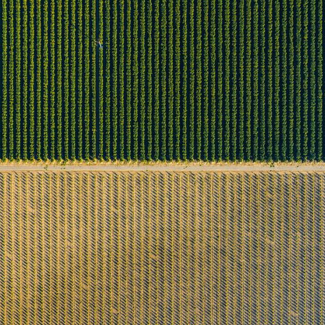 Project #17 Agricultural Aerial Land Patterns - 1 on Behance Aerial Views Landscape, West Anderson, Agriculture Photography, Agriculture Projects, Unorganized Idea, Agricultural Land, Pattern Recognition, Farm Design, Photoshop Textures