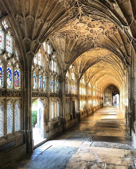 Daniel Slowik on Instagram: “A quick stop off at Gloucester Cathedral with @a.prin.art en route to Shropshire. The beautiful cloister in with late summer sun streaming…” 5d Earth, Hogwarts Visuals, Earth Vibes, Chester Cathedral, Gloucester Cathedral, Antique Architecture, Random Places, Roman Baths, Backpacking Europe