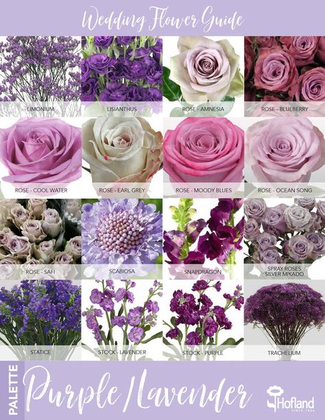 Shades Of Purple Wedding Flowers, Purple Flower Types, Wedding Flower Types, Pink Purple Wedding, Flower Identification, Wedding Flower Guide, Light Purple Flowers, Tall Wedding Centerpieces, Purple Wedding Theme