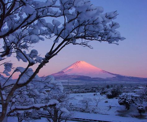 "Mount Fuji, Japan | Photography by ©Hidemi Suganuma" : picology - twitter Monte Fuji, Japanese Photography, Mont Fuji, Winter Schnee, Japan Photography, Great Wave Off Kanagawa, Manama, Mount Fuji, Nagoya