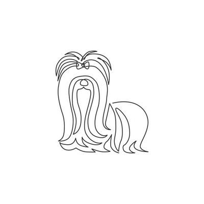 Pet Icon, One Continuous Line Drawing, Cute Shih Tzu, Dog Mascot, Logo Identity, Single Line Drawing, Continuous Line Drawing, Dog Vector, Purebred Dogs