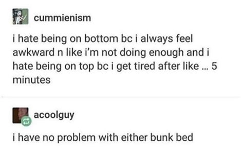 Are you a top or bottom bunk bed user Top Or Bottom Jokes, Top And Bottom Jokes, Lgbt Memes, Daily Jokes, News Reporter, Pinterest Memes, Top Memes, Silly Jokes, Bunk Bed