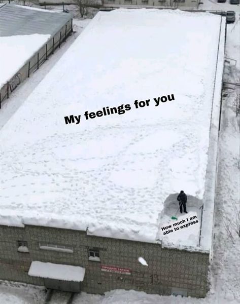 My Feelings For You, Cute Love Memes, Snapchat Funny, My Feelings, Cute Messages, 웃긴 사진, Cute Memes, Funny Reaction Pictures, Wholesome Memes