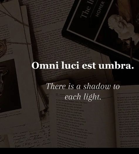 Latin Phrases Aesthetic, Dark Latin Phrases, Latin Translations, Latin Love Quotes, Latin Language Learning, Edgy Quotes, Literary Love Quotes, Latin Quotes, Latin Language