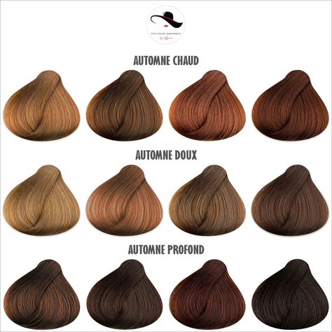 Colorimétrie : le guide ultime pour rayonner au naturel – THE COLOR FASHIONISTA Soft Autumn Hair Color, Caramel Hair Color, Autumn Hair, Hair Color Caramel, Caramel Hair, Soft Autumn, Shag Haircut, Fall Hair Colors, Fall Hair