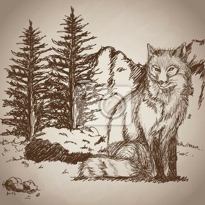 Wildlife Drawing, Fox Sitting, Forest Vector, Girl With Dog, Beginner Sketches, Pencil Drawings Of Girls, Pencil Drawings For Beginners, Landscape Vintage, Forest Illustration