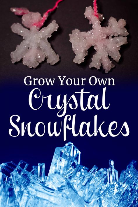 Growing crystal snowflakes is fun and a great science lesson! Picture of crystal snowflakes and a macro photo of crystals. Snowflakes Science, Crystals For Kids, Grow Your Own Crystals, Pictures Of Crystals, Growing Crystals, Study Gift, Science Lesson, Winter Preschool, Crystal Snowflakes