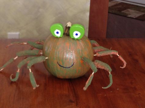 Crab pumpkin for book report. Crab Pumpkin Decoration, Nautical Pumpkins, Crab Pumpkin, Pumkin Ideas, Pumpkin Decorating Contest, Pumpkin Books, Book Reports, Pumpkin Designs, Halloween Pumpkin Designs