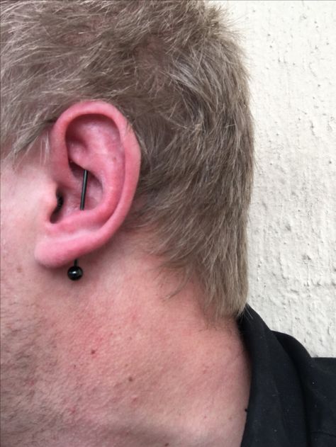 Vertical Industrial Piercing, Men With Piercings, Back Dermals, Industrial Ear Piercing, Vertical Industrial, Nose Piercing Septum, Men's Piercings, Ear Bar, Piercing Conch