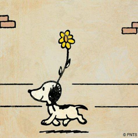 Snoopy's 1st appearance in a Peanuts strip. 10/4/50 What I Like About You, Peanuts Comic Strip, Arte 8 Bits, Peanuts Cartoon, Peanuts Characters, Snoopy Quotes, Snoopy Pictures, Snoop Dog, Snoopy Love