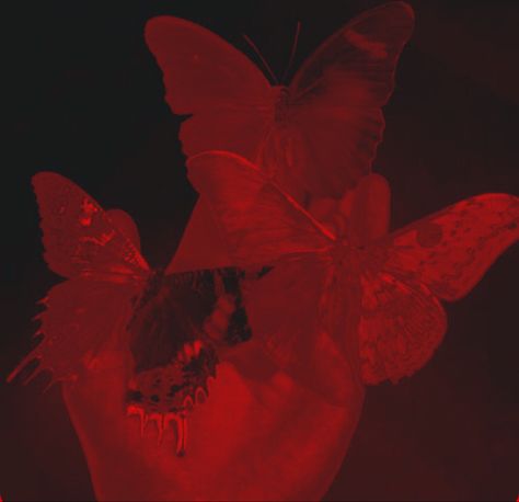 Aesthetic Hands, Media Production, Red Butterfly, Red Light, The Beginning, Butterflies, Red