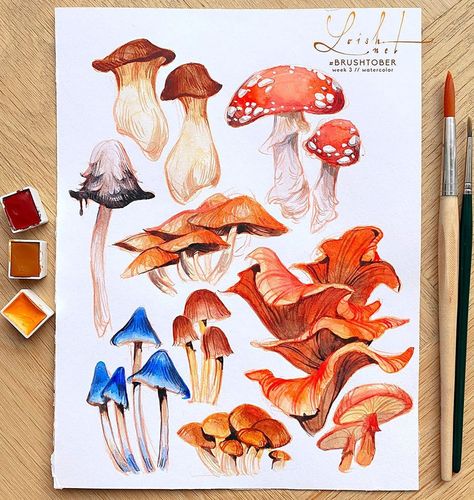 loish on Instagram: “I spent today painting mushrooms for #brushtober while listening to podcasts, and it was just so soothing. I need to do this more often!…” Painting Mushrooms, Mushroom Drawing, Sketchbook Art Journal, Pinturas Disney, Mushroom Art, Sketchbook Inspiration, Art Journal Inspiration, Art Plastique, Giclee Art