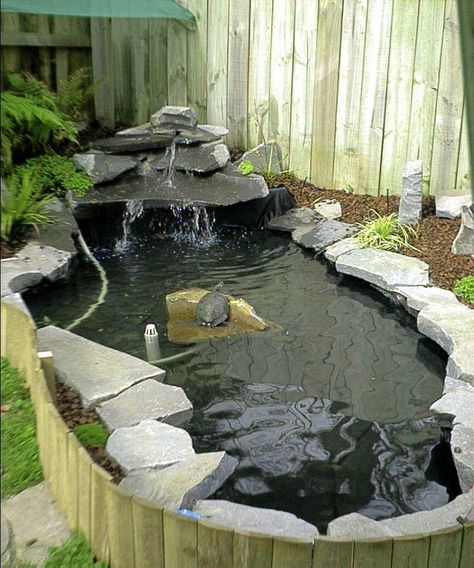 turtle pond. Tartaruga Habitat, Cottage Patio, Koi Pond Design, Turtle Aquarium, Turtle Homes, Pond Garden, Taman Air, Turtle Habitat, Garden Pond Design