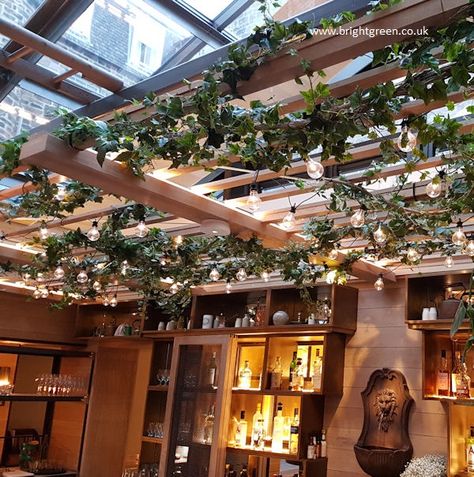 Bespoke Artificial Ivy on Vine wrapped around ceiling trellis above a hotel bar Ceiling Trellis, Trellis Ceiling, Wedding Pergola, Artificial Decoration, Vine Trellis, Flower Vines, Small Courtyard Gardens, Porch Ceiling, Courtyard Design