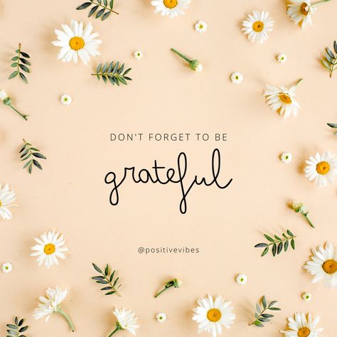 Always be Grateful   #viral #quotes #motivation #lifequotes  #growth #clarity #quotes   #lifequotes #wisdom #quoteoftheday #quoteinstagram #life #lifequotes  #love #follow #inspirational Always Be Grateful Quotes, Be Grateful Quotes, Clarity Quotes, Grateful Quotes, Viral Quotes, Always Be Grateful, Be Grateful, Quotes Life, Relatable Quotes