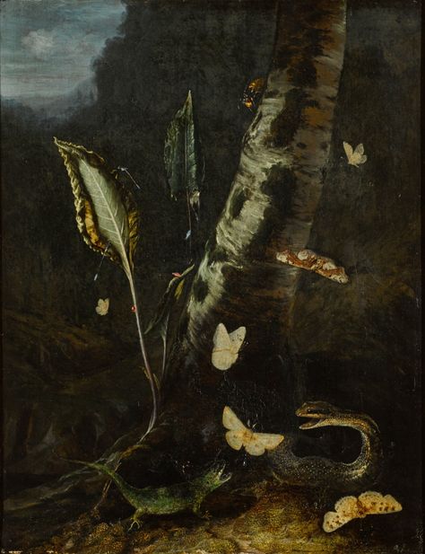 OTTO MARSEUS VAN SCHRIECK | FOREST FLOOR STILL LIFE, WITH A LIZARD, A SNAKE AND BUTTERFLIES | Old Master Paintings2020 | Sotheby's Circle Landscape, Forest Painting, Forest Floor, Still Life Paintings, Arte Inspo, Life Paintings, Oil Painting Reproductions, Painting Reproductions, Old Master