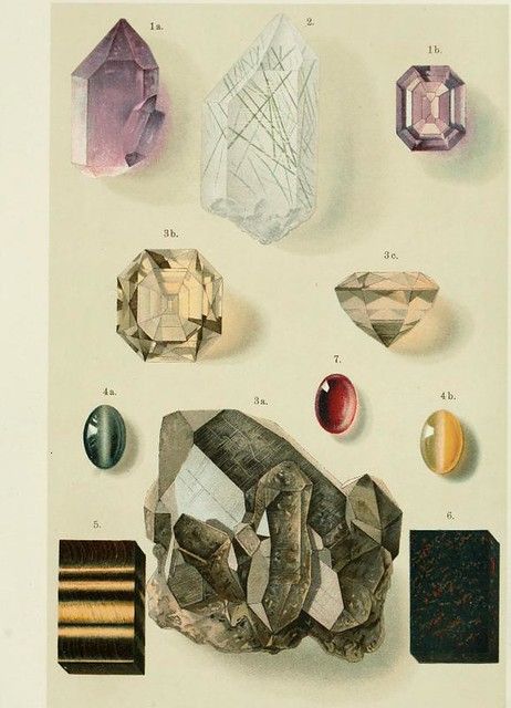 Minerals Print, Crystal Drawing, Office Poster, University Of Toronto, Scientific Illustration, Plant Illustration, Book Images, Vintage Artwork, Design Reference