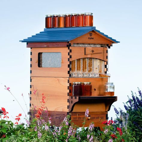 Beekeeping has been the same for very many years. That is, until the Flow Hive entered the market. The Flow Hive is best known for being able to drain honey from a tap straight from the hive. Since then, there have been a lot of questions about the Flow Hive. Common questions are How does a Flow Hive work? Is the Flow Hive good for bees? How much does a Flow Hive cost? This article will answer a few of the basic questions about the Flow Hive. Apiary Beekeeping, How To Start Beekeeping, Fresh Honeycomb, Hive Stand, Bee Hotels, Fruit And Vegetable Garden, Harvesting Honey, Flow Hive, Thuja Plicata