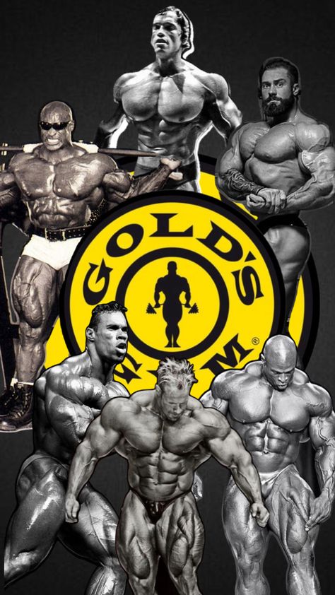 Mr.Olympia Arnold Ronnie and Cbum Mr Olympia, Gym Rat, Olympia, Gym