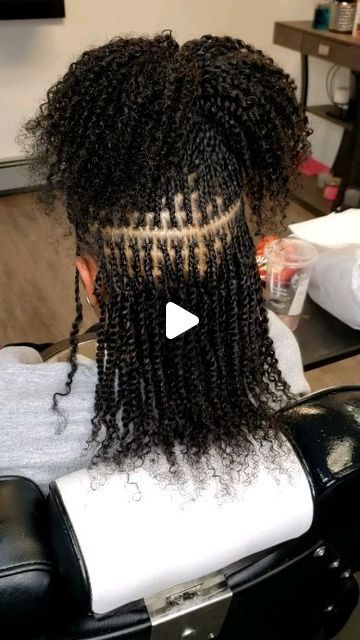 Locs Ponytail, Extension Braids, Loc Ideas, Short Locs, Micro Locs, Braided Hairstyle, Micro Braids, Cleveland Ohio, Locs