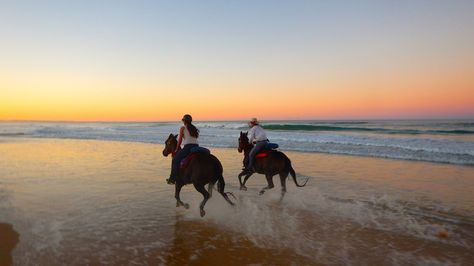 Ride Horses On The Beach, Horses At The Beach, Horse Beach Riding, Horse On Beach, Horses Beach, Horses On The Beach, Horse Beach, Ride A Horse, Tumblr Feed