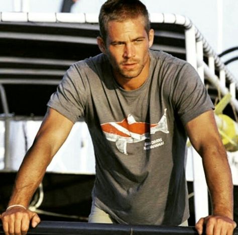 Paul Walker Paul Walker Poster, Paul Walker Movies, Cody Walker, Ashley Scott, Brian Oconner, Paul Williams, Actor Paul Walker, Paul Walker Pictures, Rip Paul Walker