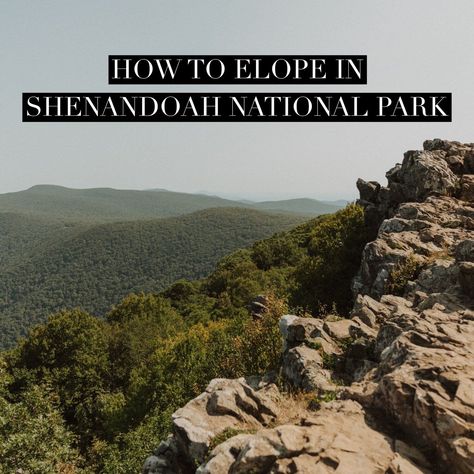 The ins and outs of eloping in Shenandoah National Park from an elopement photographer! Shenandoah Elopement, Shenandoah National Park Elopement, Acadia National Park Elopement, Redwood National Park Elopement, Big Bend National Park Elopement, Eloping In Glacier National Park, Superstition Mountains, Desert Mountains, Desert Dream