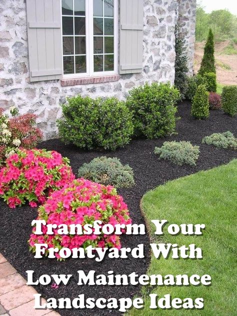 Looking to transform your frontyard? Check out these low maintenance landscape ideas to create a beautiful and stress-free outdoor space. From drought-resistant plants to easy-care hardscaping, this pin has everything you need to design a stunning frontyard landscape that requires minimal upkeep. Say goodbye to constant maintenance and hello to a gorgeous, hassle-free yard! Ideas Para Decorar Jardines, Ringwood Nj, Jeff Smith, Landscape Flowers, Backyard Landscape, Mountain Laurel, Front Landscaping, Home Landscaping, Landscaping Tips