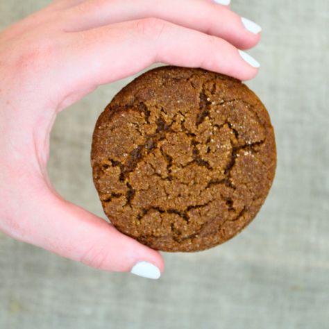 The Perfect Gingersnap Cookie Recipe Gingersnap Cookie Recipe, Ginger Snap Cookies Recipe, Blue Ribbon Recipes, Gingersnap Cookies, Ginger Molasses Cookies, Crispy Cookies, Classic Recipes, Molasses Cookies, Ginger Snap Cookies