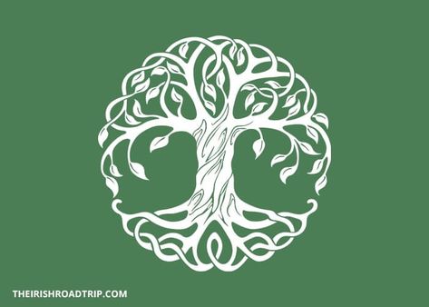 Celtic Tree of Life: Its Meaning + History (aka Crann Bethadh) Celtic Tree Tattoos, Tree Of Life Logo, Tree Of Life Meaning, Ancient Egyptian Tombs, Tree Of Life Symbol, Celtic Symbol, Tree Of Life Art, Tree Of Life Tattoo, Celtic Tree Of Life