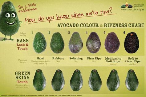 Avocado Ripeness Chart Avocado Ripeness Chart, Avocado Ripeness, Avocado Health Benefits, Avocado Cream, Paul Pogba, Stuffed Avocado Healthy, Guacamole Recipe, Cooking Guide, Delish Recipes