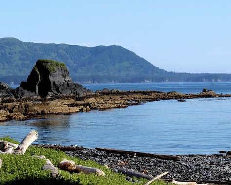 Tide Pooling, Kodiak Alaska, Spruce Forest, Kodiak Island, Alaska The Last Frontier, Temperate Rainforest, What To Do Today, To Do Today, Tide Pools