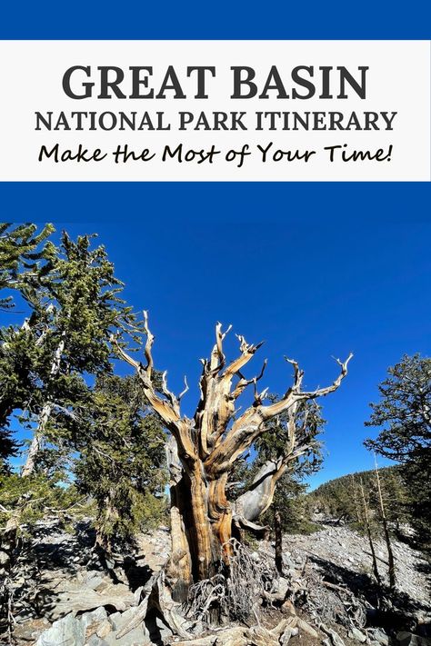 Trying to plan your Great Basin National Park itinerary? Here's how to maximize one day. Hawaii Mountains, Alaska Travel Guide, Vacation 2025, Colorado National Parks, National Park Itinerary, Great Basin National Park, Great Basin, Mountain Travel, Alpine Lake