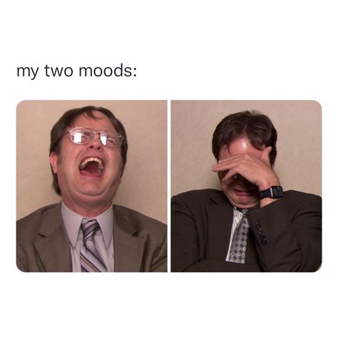 Dwight Meme, Dwight Schrute Memes, The Office Characters, The Office Dwight, Silly Sentences, Tv Memes, Office Memes, Dwight Schrute, Funny Phone Wallpaper