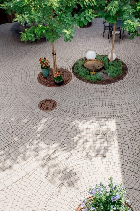 Paved Patio Ideas, Brick Landscape, Landscape Paving, Concrete Pavers Walkway, Pavers Walkway, Planning Landscape, Pavement Design, Beginners Landscaping, Deck Outdoor