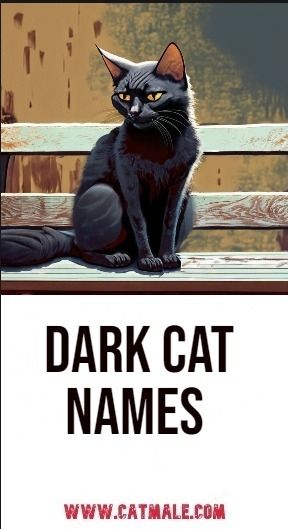 50 Dark Cat Names Spooky Cat Names, Goth Cat Names, Black Cat Names Boys, Magical Cat Names, Name For Black Cat, Harry Potter Cat Names, Fall Names For Cats, Witchy Names, Halloween Names For Cats