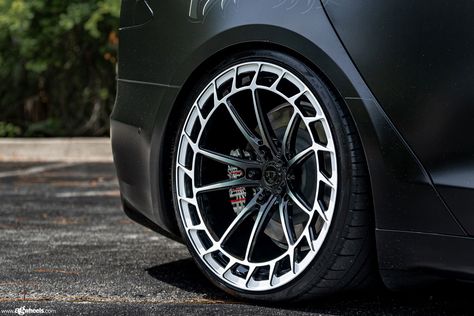 Avant Garde Wheels | Tesla Model S Plaid | AG SRX01 Gloss Black Tesla Model S Plaid, Avant Garde Wheels, Black Ombre, Tesla Model S, Tesla Model, Gloss Black, Tesla, Wheel, Plaid