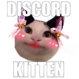 E Kitten Discord, Discord Mod Kitten Memes, Discord Kitten Pfp, Discord Kitten, Basic Workout, Girly Shoes, Playing Games, Summer 2023, Fun Games