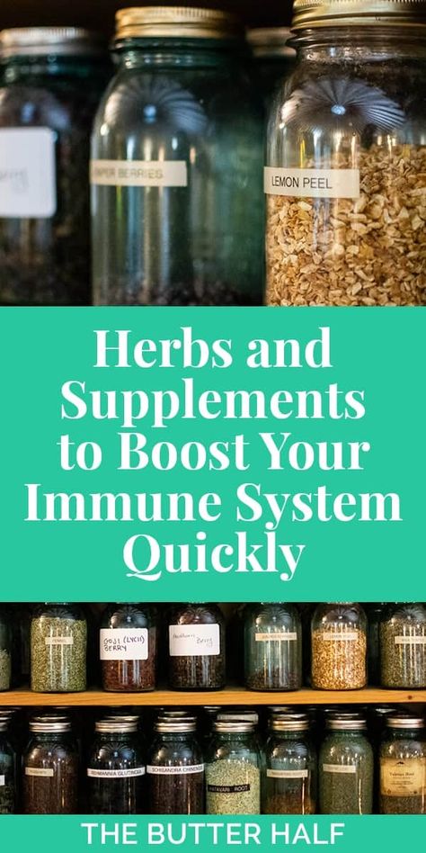 Herbs and Supplements to Boost Your Immune System Quickly | Cold and flu season is miserable. But I have the best herbs and supplements to boost your immune system quickly. Runny noses, achy throats, fevers, tired joints BE GONE! || The Butter Half How To Boost Your Immune System, Natural Recipes, Healing Recipes, Poke Cakes, Boost Your Immune System, Lightbulbs, Runny Nose, Lose 40 Pounds, Healing Herbs