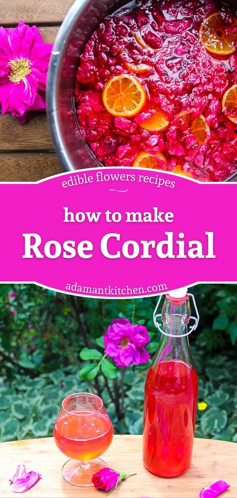 homemade rose cordial made with edible flowers Rose Cocktail Recipes, Cordial Recipe, Flowers Recipes, Easy Rose, Homemade Limoncello, Edible Flowers Recipes, Foraging Recipes, How To Make Rose, Rose Cocktail