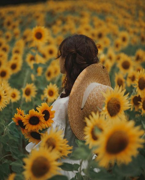 Sunflowers | aoikinoko_bluemushroom Sunflower Aesthetic, Harvest Festivals, Yellow Petals, Calming The Storm, Symbol Of Peace, Break Time, The Sunflower, Harvest Festival, Native American Culture